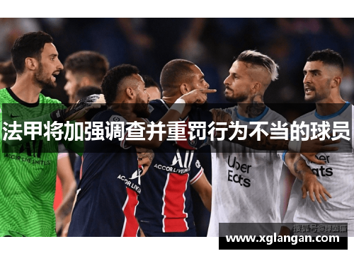 法甲将加强调查并重罚行为不当的球员